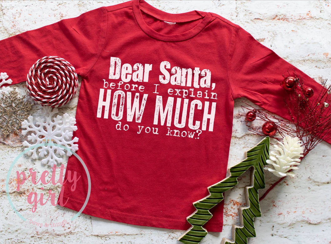 Dear santa how much do you know